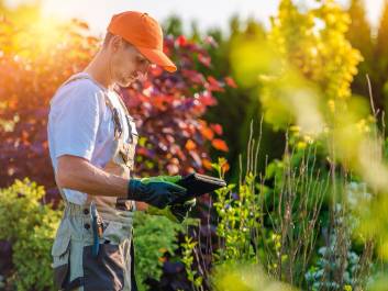 colourful plants Lesmurdie WA 6076