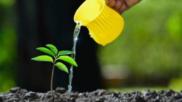 Planting new trees Armadale 6112