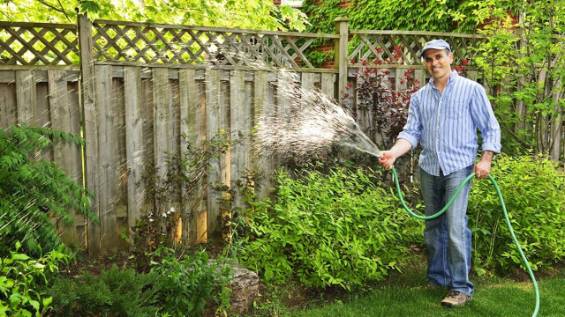 Hand watering early in morning or evening can conserve water